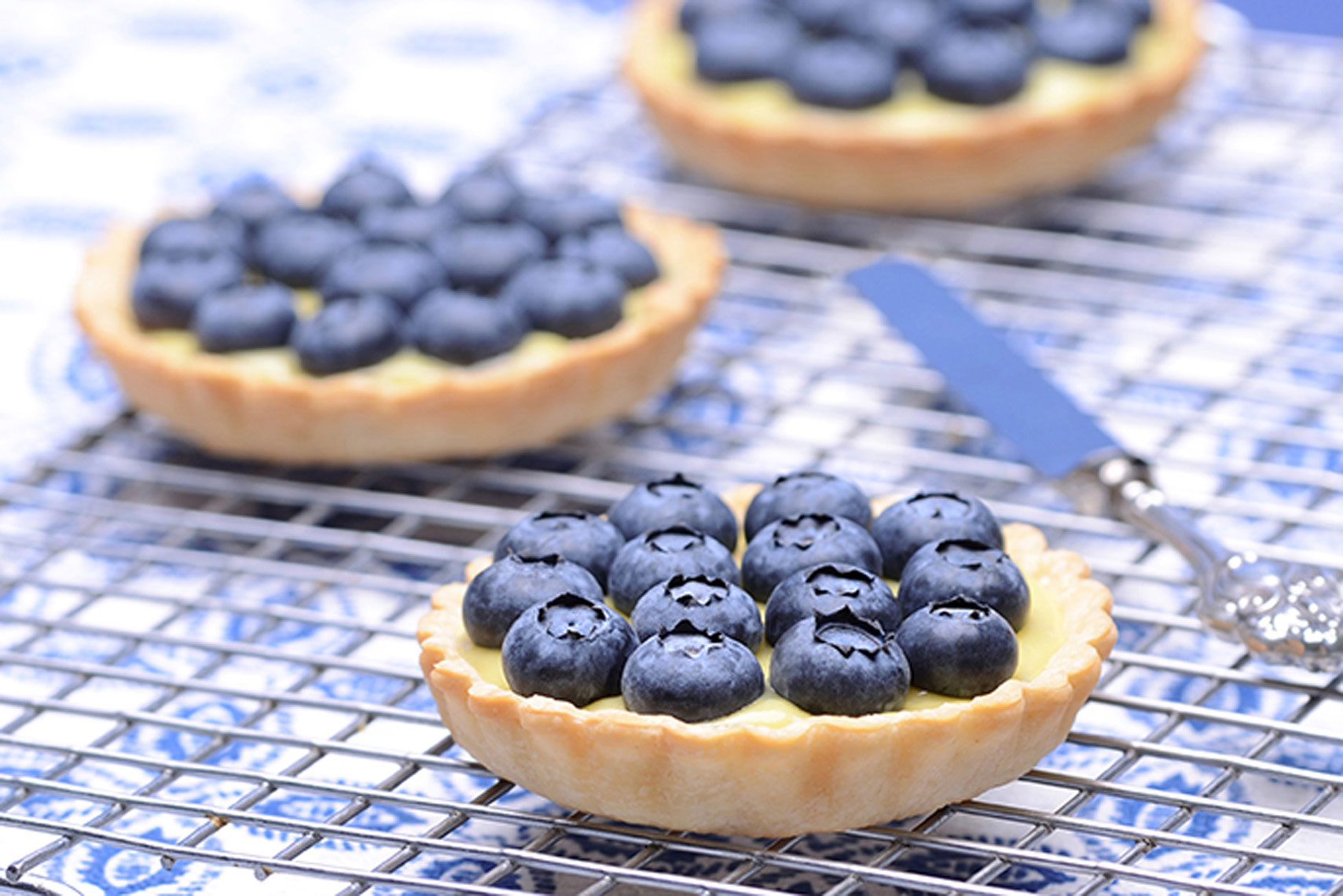 Blueberry-tart-recipe-photography-by-Los-Angeles-food-photographer-Joe-Atlas.