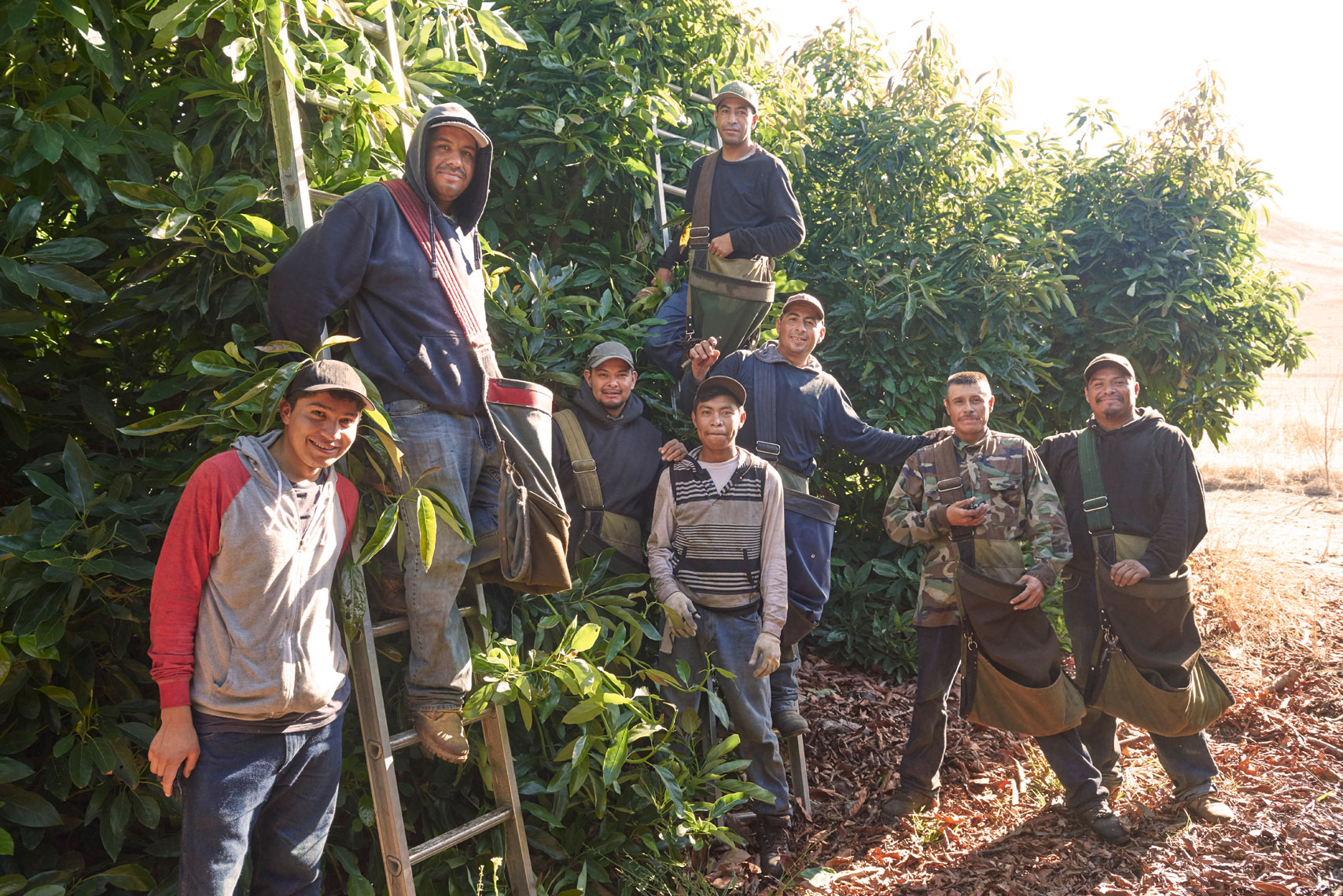 Group-environmental-portrait-photography-of-avocado-pickers-in-orchard